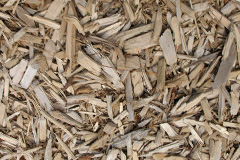 biomass boilers Edithmead